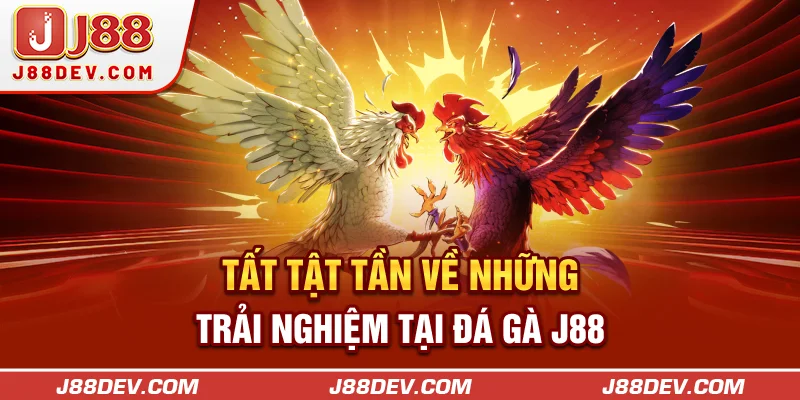 Tất tật tần về những trải nghiệm tại đá gà J88