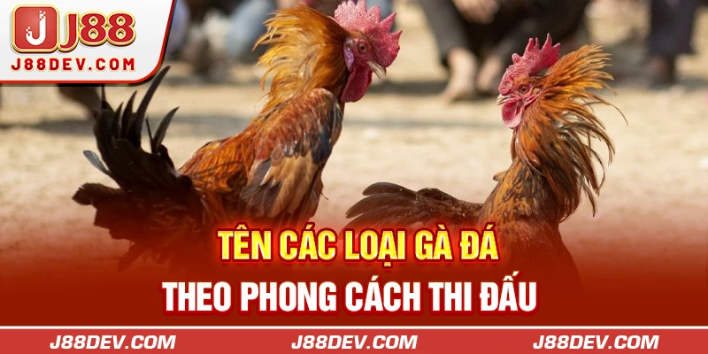 Tên các loại gà đá theo phong cách thi đấu